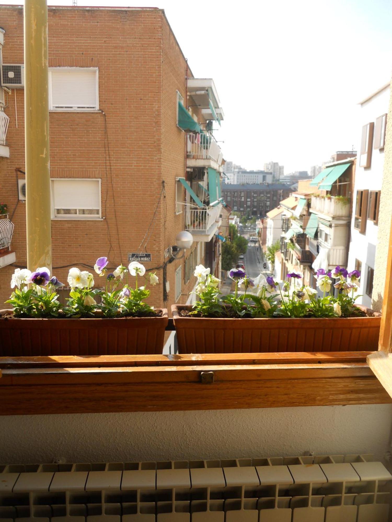 Hostal El Descanso Madrid Buitenkant foto