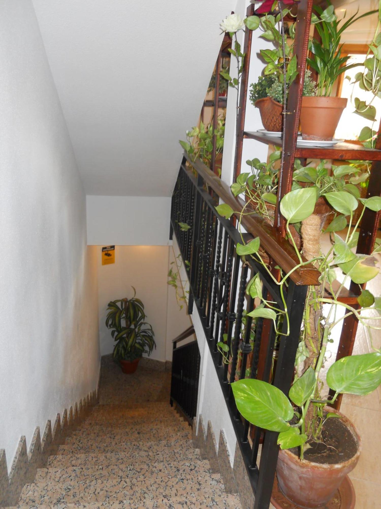 Hostal El Descanso Madrid Buitenkant foto